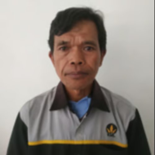 Anggota